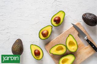 Estos tres alimentos ayudan a mantener el cerebro saludable a partir de los 40 años