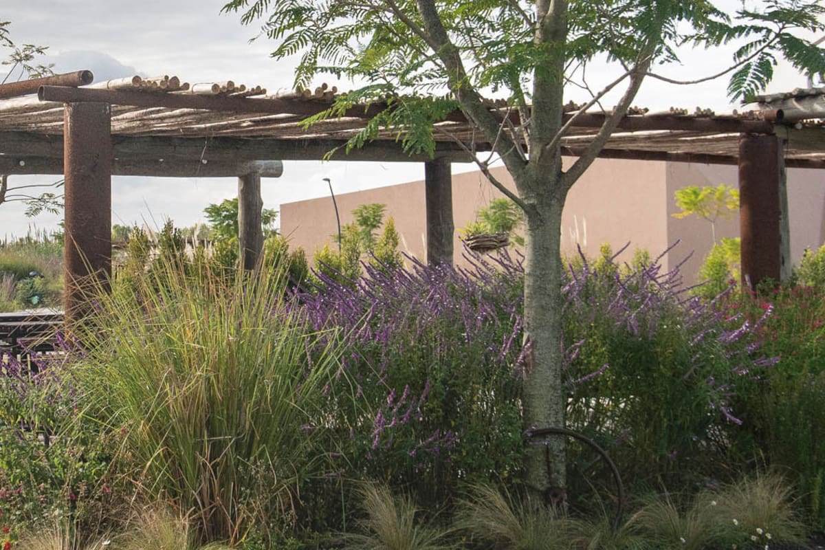 Ideas: qué tenés que tener en cuenta antes de hacer una pérgola en tu jardín