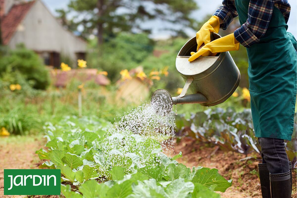 El secreto de los expertos para trabajar menos en la huerta y que produzca más