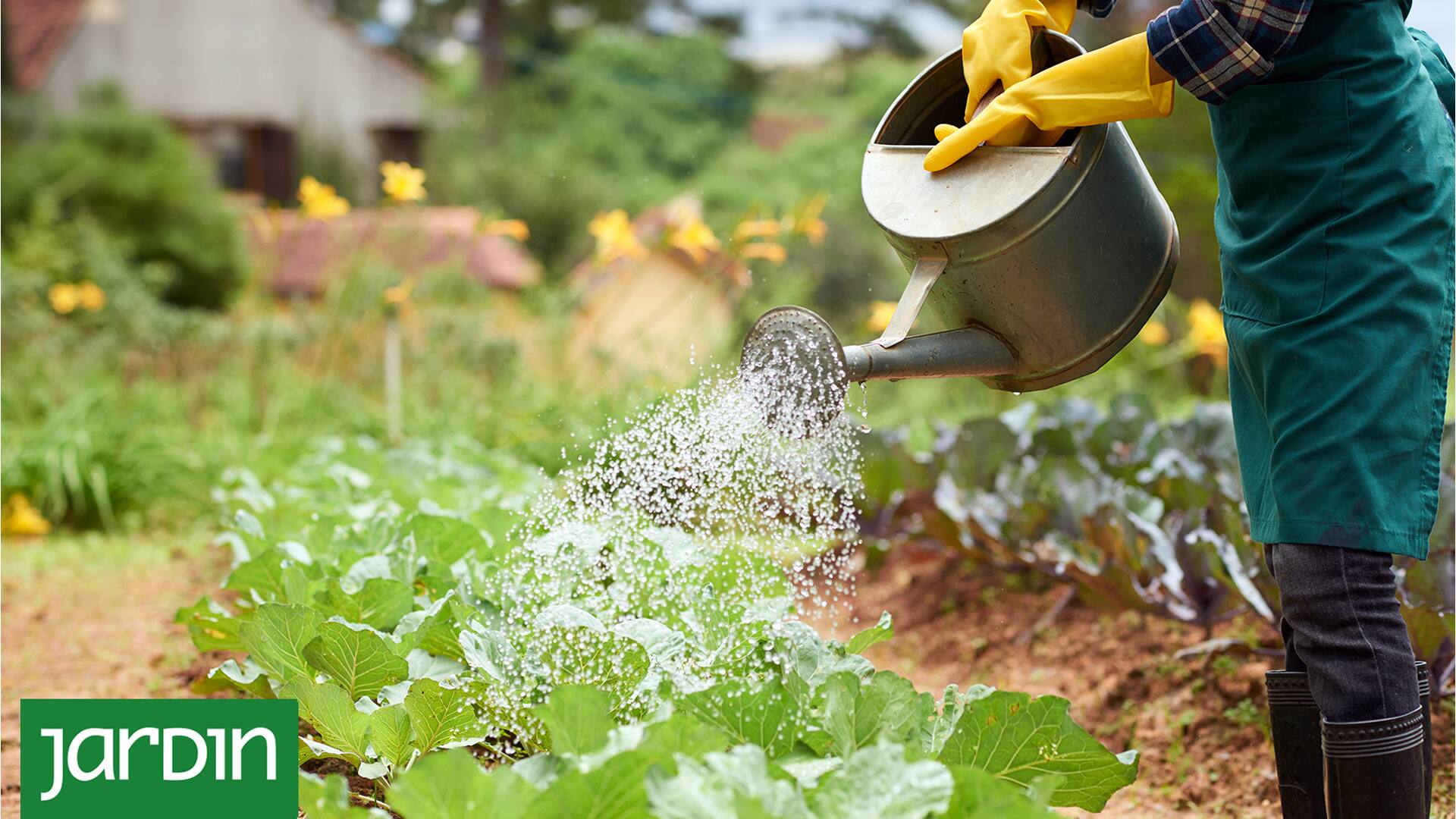 El secreto de los expertos para trabajar menos en la huerta y que produzca más