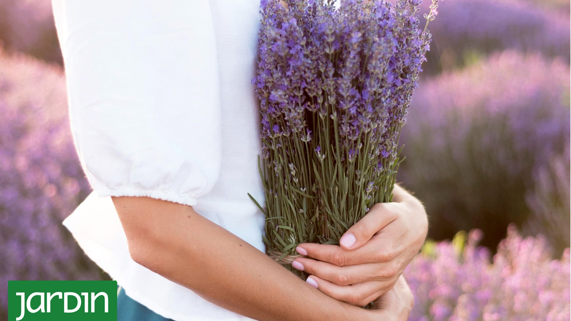 Las plantas que protegen la salud mental y física y se pueden cultivar en casa