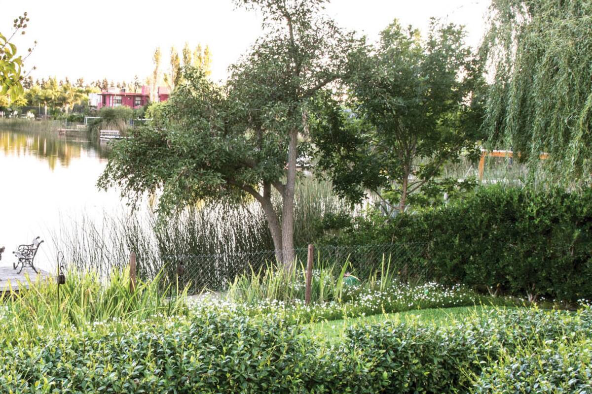 Tigre: un espacio diseñado en terrazas, florido todo el año y con vista a la laguna