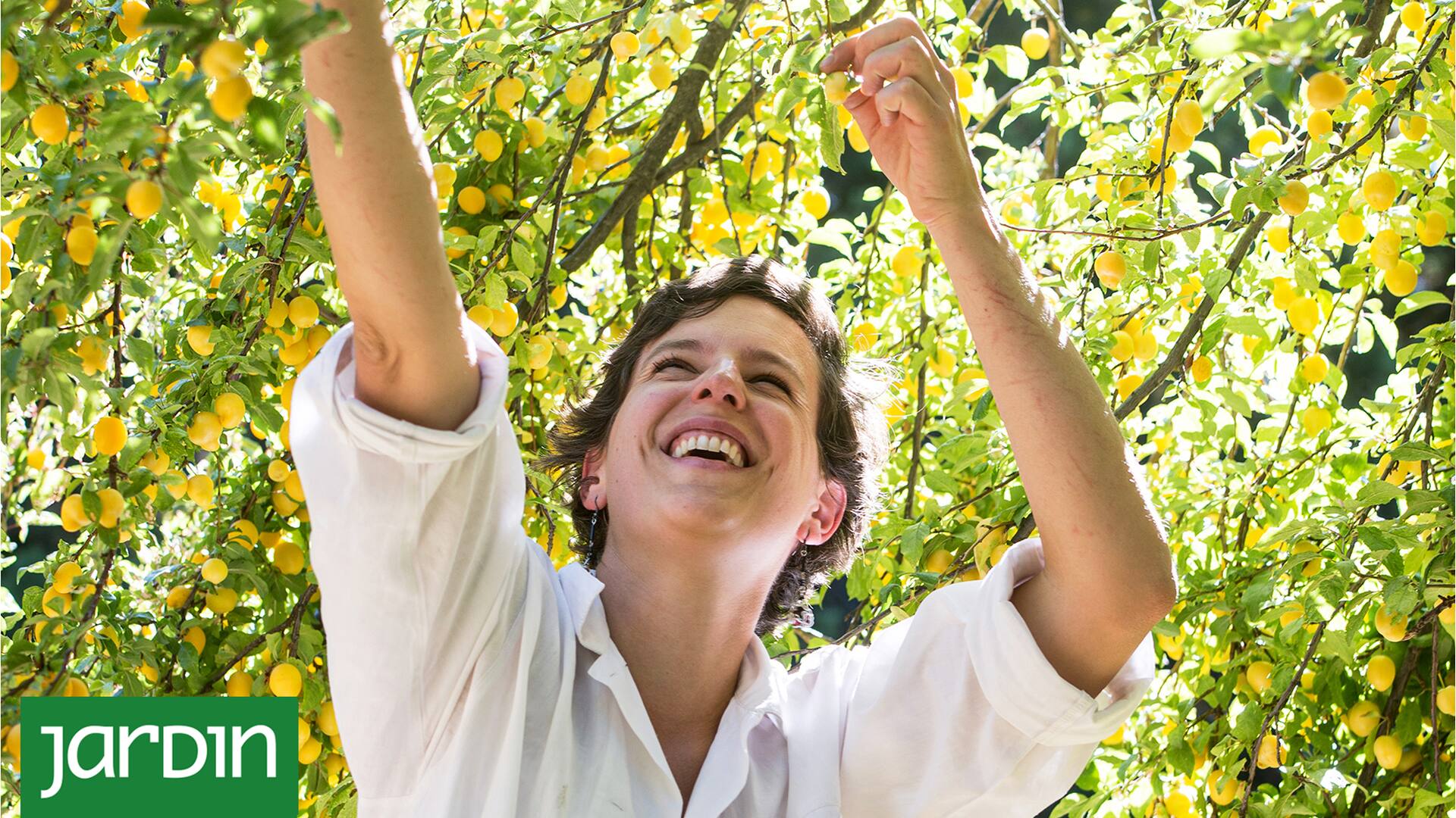 Qué hacer para tener más y mejor fruta esta temporada