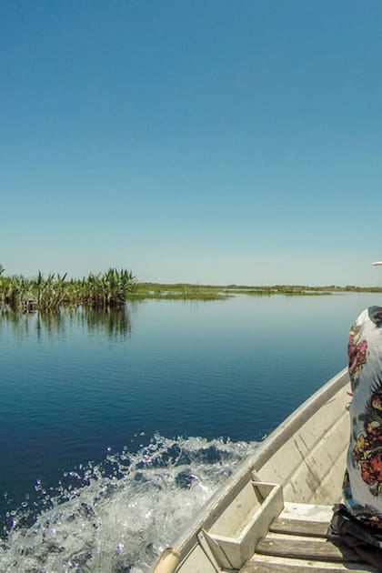 La meca del ecoturismo: una escapada a la  calma de los Esteros del Iberá
