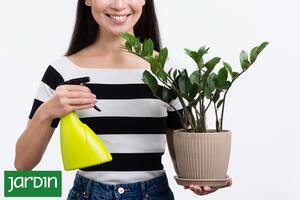 Cómo resucitar tus plantas después de las vacaciones