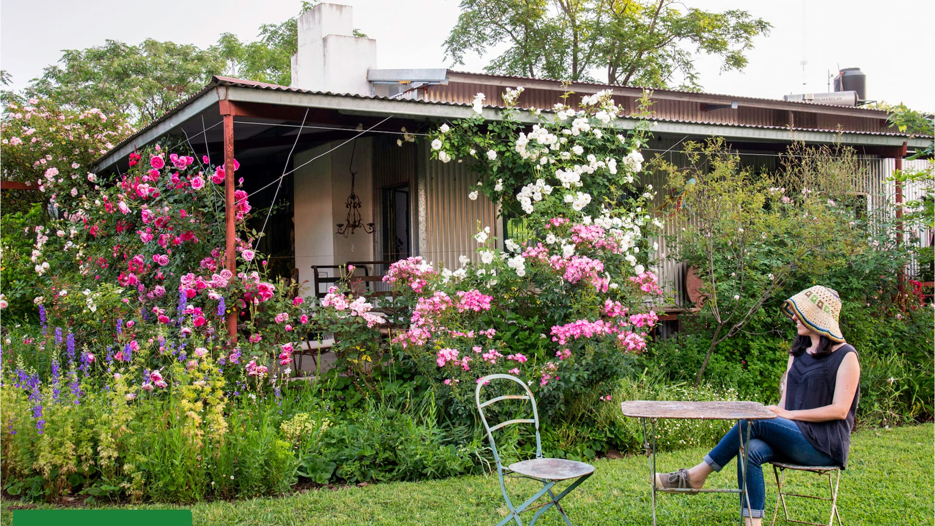 Espacios con encanto: cómo lograr el estilo de los paisajistas en tu propio jardín