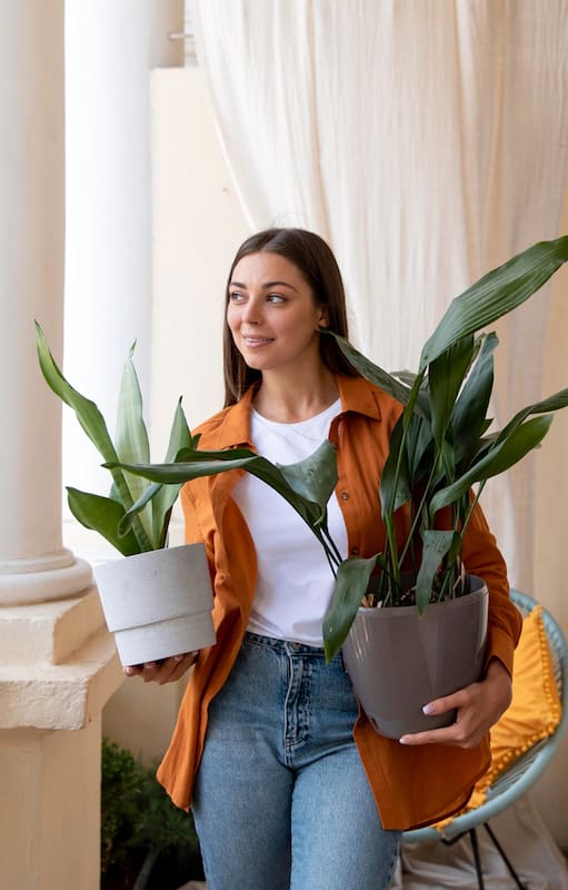 El truco de los viveristas para que tus plantas resistan el frío sin problemas