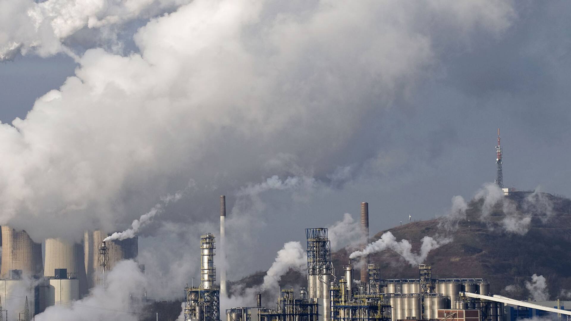 ¿El florecer de la acción climática?
