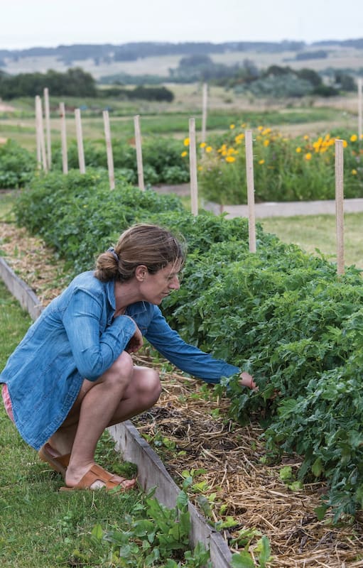 Productos orgánicos: cómo funciona la granja que provee a los restoranes más exclusivos de José Ignacio