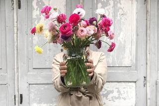 Temporada de flores: cuáles son las ideales en cada estación del año