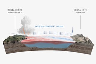 Por qué El Niño puede ser el más severo de la historia y cómo evitar escenarios catastróficos