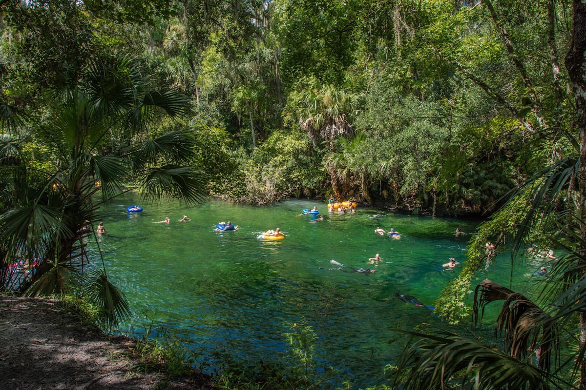 A 45 minutos de Orlando, Blue Springs da la posibilidad de nadar en agua cristalina a 22 grados todo el año