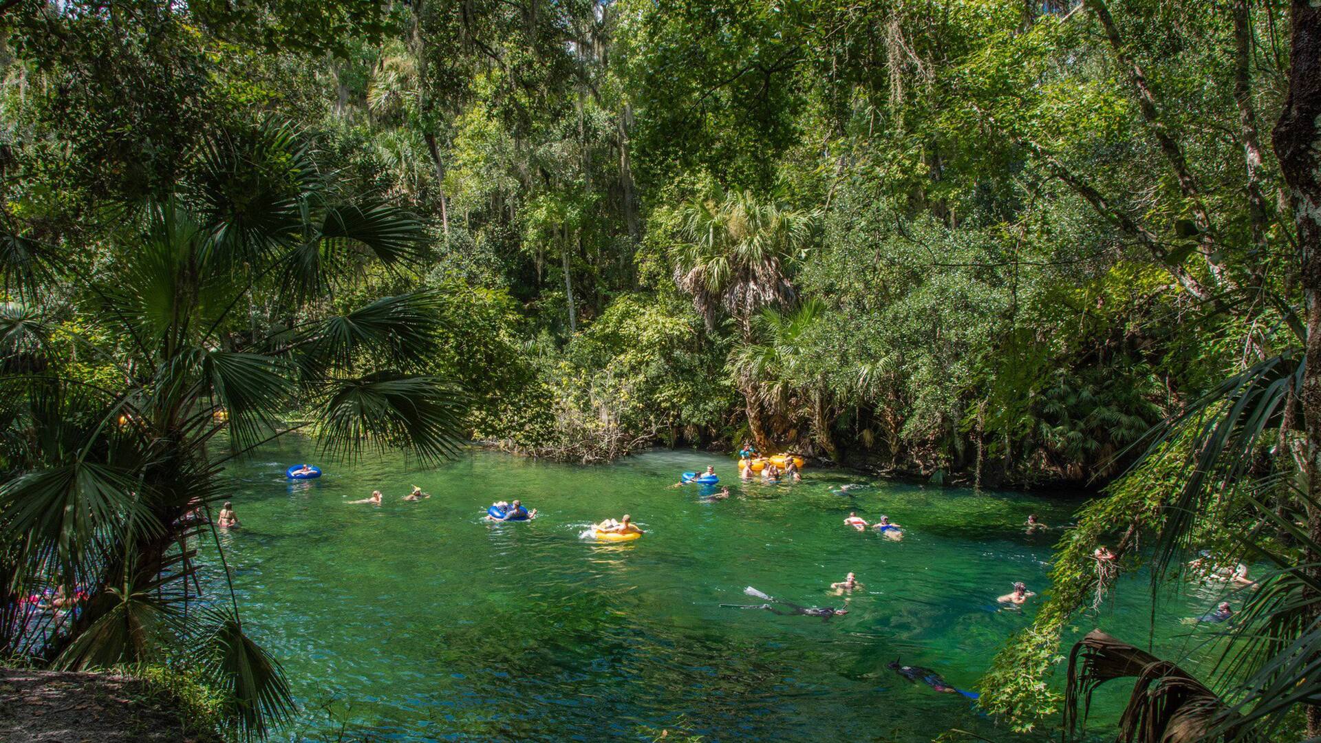 A 45 minutos de Orlando, Blue Springs da la posibilidad de nadar en agua cristalina a 22 grados todo el año