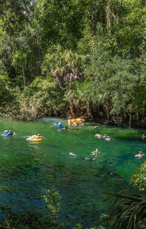 A 45 minutos de Orlando, Blue Springs da la posibilidad de nadar en agua cristalina a 22 grados todo el año