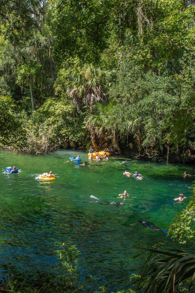 A 45 minutos de Orlando, Blue Springs da la posibilidad de nadar en agua cristalina a 22 grados todo el año