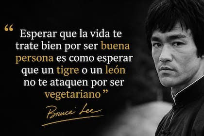 A 53 años de la muerte de Bruce Lee, sus testimonios siguen presentes en la sociedad