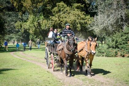 A 70 kilómetros de Buenos Aires, Rodizio Campo invita a pasar un día con asado completo, bosque aéreo para chicos, paseos a caballo y circuito mountain bike