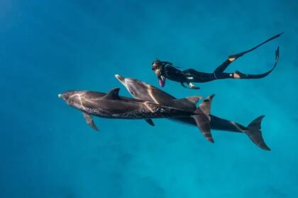 A contracorriente filipinos luchan contra el avance del mar en una isla en vías de desaparición
