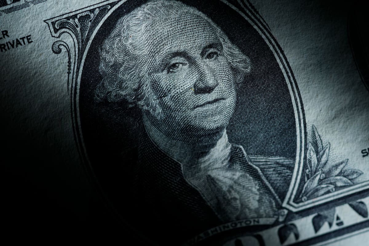 A cuánto está el dólar oficial y el dólar blue este sábado 20 de enero (AP Foto/Matt Slocum)