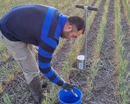 A diferencia de la región pampeana, donde se tiende a disminuir con el uso agrícola, el pH en algunas áreas del NOA y NEA se registró un aumento, debido al uso agrícola