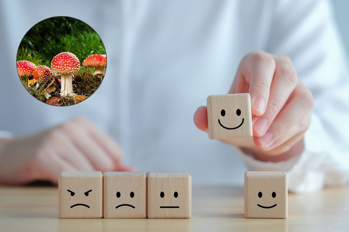A diferencia de las investigaciones sobre los beneficios de dosis completas de psicodélicos para la salud mental, que han arrojado resultados son prometedores, en los que se realizaron con microdosis la evidencia es limitada (Canva)