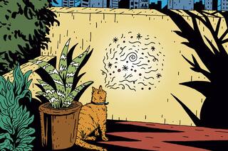 Experiencias. Cómo me preparé para la muerte de mi gato