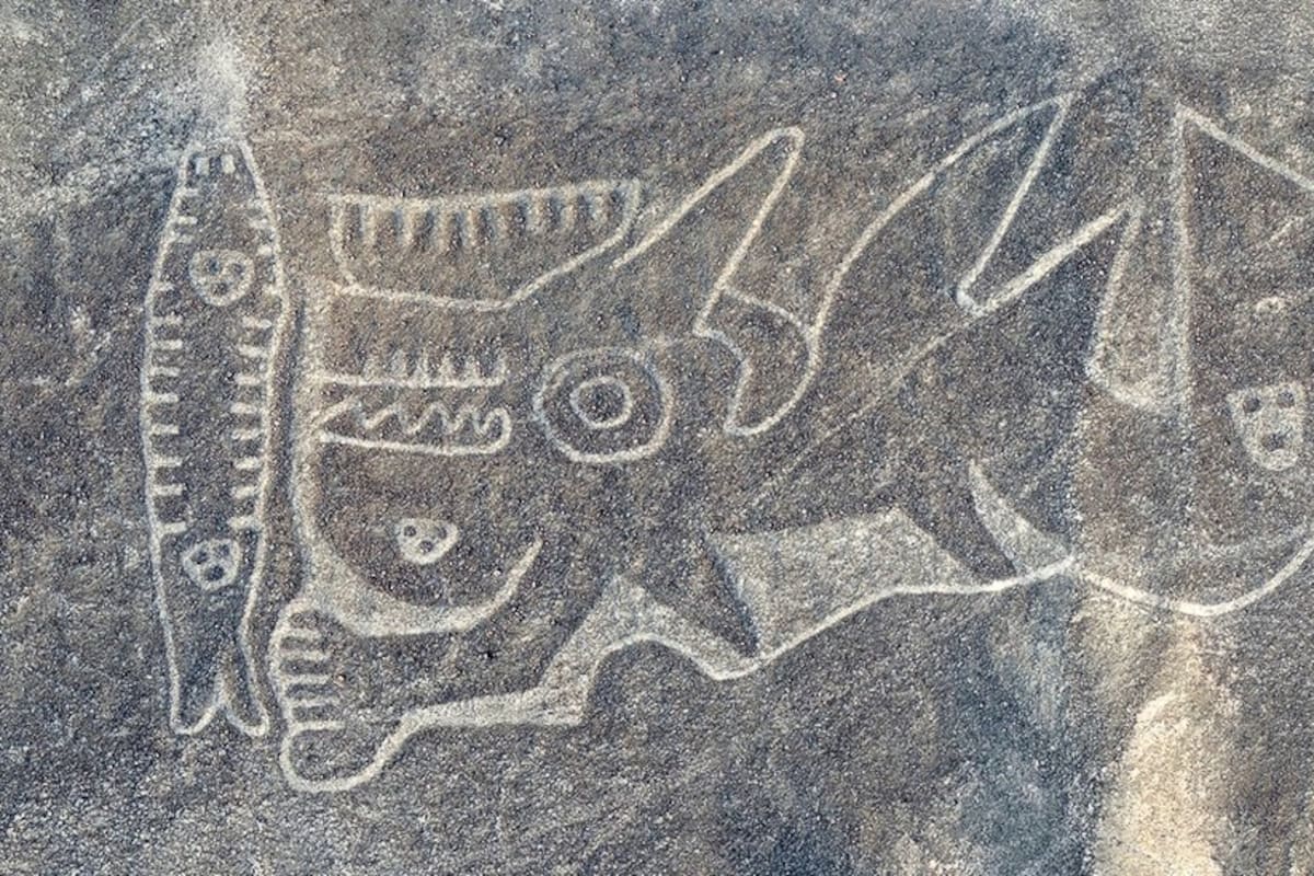 A diferencia de los geoglifos de la cultura Nasca, las figuras de Paracas se encuentran en laderas de montañas y no en superficies planas.