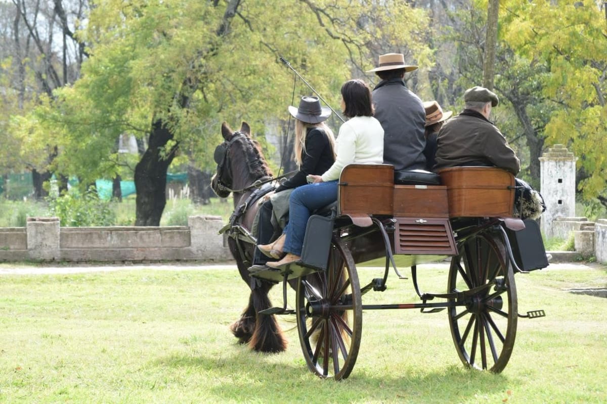A diferencia de los tradicionales carruajes, en el Jaunting Car irlandés todos los pasajeros miran hacia afuera