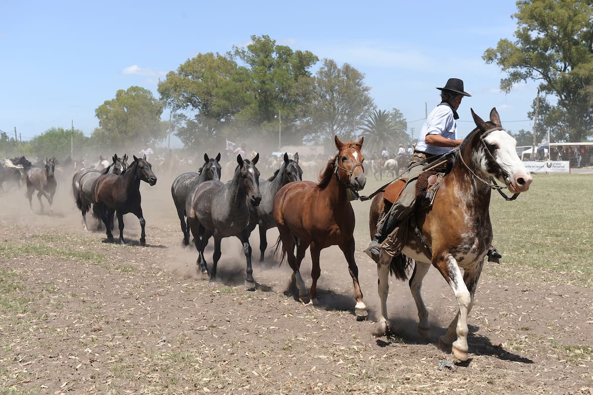 A Gaucho rides a horse in Buenos Aires, Argentina