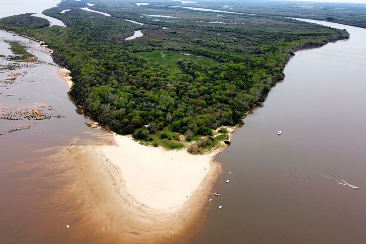 A Isla Cambacuá, con una frondosa flora autóctona, se llega en catamarán desde Concepción del Uruguay