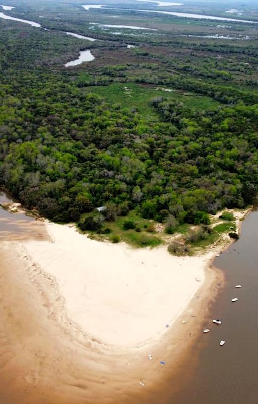 A Isla Cambacuá, con una frondosa flora autóctona, se llega en catamarán desde Concepción del Uruguay