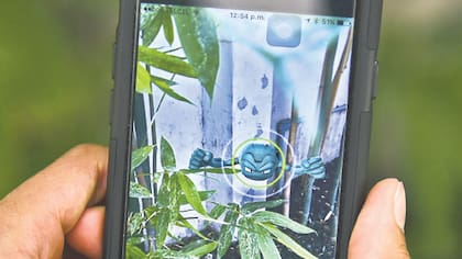 A la caza de Pokémones en Ciudad de Mexico.