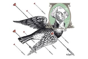 A la caza del dólar