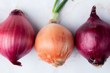 A la hora de comprar muchas personas desconocen la diferencia entre las cebollas blancas y moradas