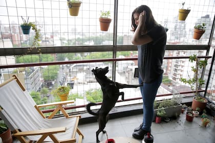 Estar pendiente a la mascota es una demostración de empatía por sus necesidades