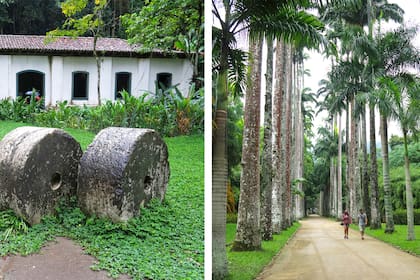 A la izquierda, Casa dos Piloes, un sitio arqueológico dentro del Jardín Botánico de Río de Janeiro. A la derecha, la Avenida de las Palmeras Imperiales, marca registrada del Jardín