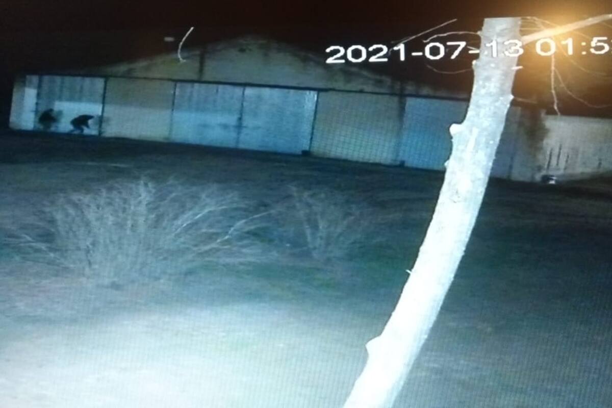 A la izquierda, delincuentes que, de madrugada, ingresaron para robar en un galpón del campo Las Horquetas, en el departamento General Roca, Córdoba. Se llevaron agroquímicos por unos $4 millones