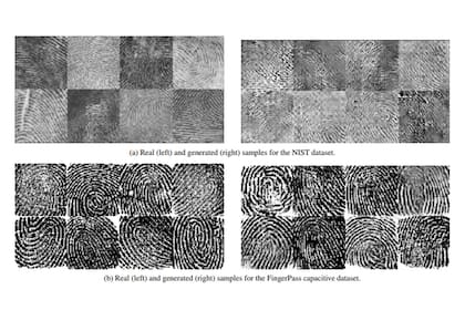A la izquierda se encuentran los registros reales, mientras que a la derecha se ubican las muestras generadas por el sistema de inteligencia artificial DeepMasterPrints