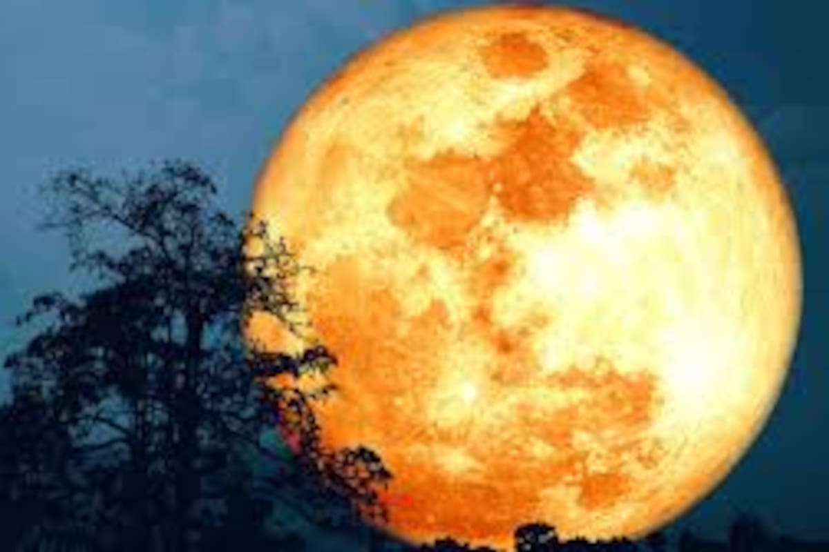 A la luna llena de hoy también se la conoce como “luna llena del ciervo”