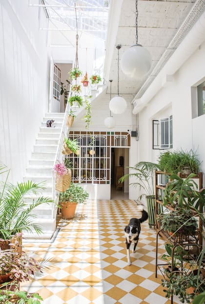 A la restauración de la lucarna se sumó un piso damero granítico en blanco y amarillo para darle a todo una atmósfera más solar aun.
