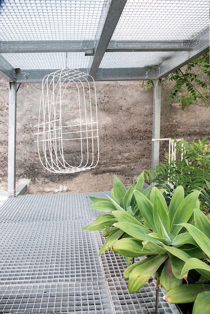 A la terraza se accede desde el primer piso. Tiene una estructura que Julio llama “La glorieta” con una hamaca de hierro, uno de los lugares preferidos para estar. En las macetas se destacan Agave attenuata