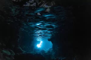A la zona abisal no llega la luz