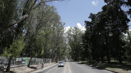 A lo largo de la calle Martín Fierro, una de las arterias principales, se multiplican las obras