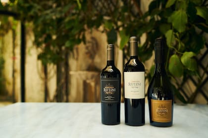 A lo largo de los últimos años, el Valle de Uco se convirtió en la región vitivinícola de Mendoza que está en boca de todos.