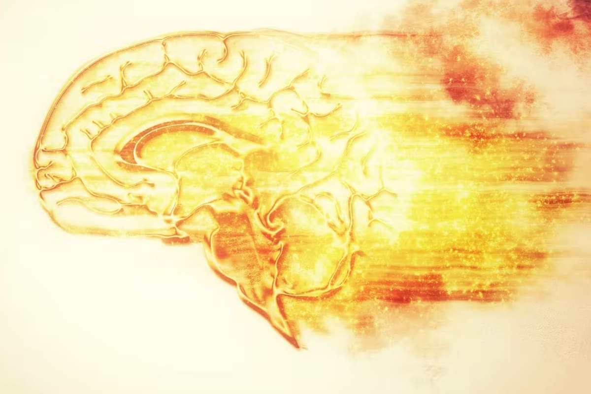 A lo largo del día, y en función de la actividad neuronal, la temperatura del cerebro fluctúa