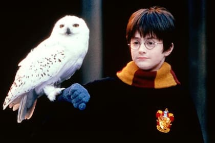 A los 11 años, el actor se puso por primera vez en la piel de Harry Potter