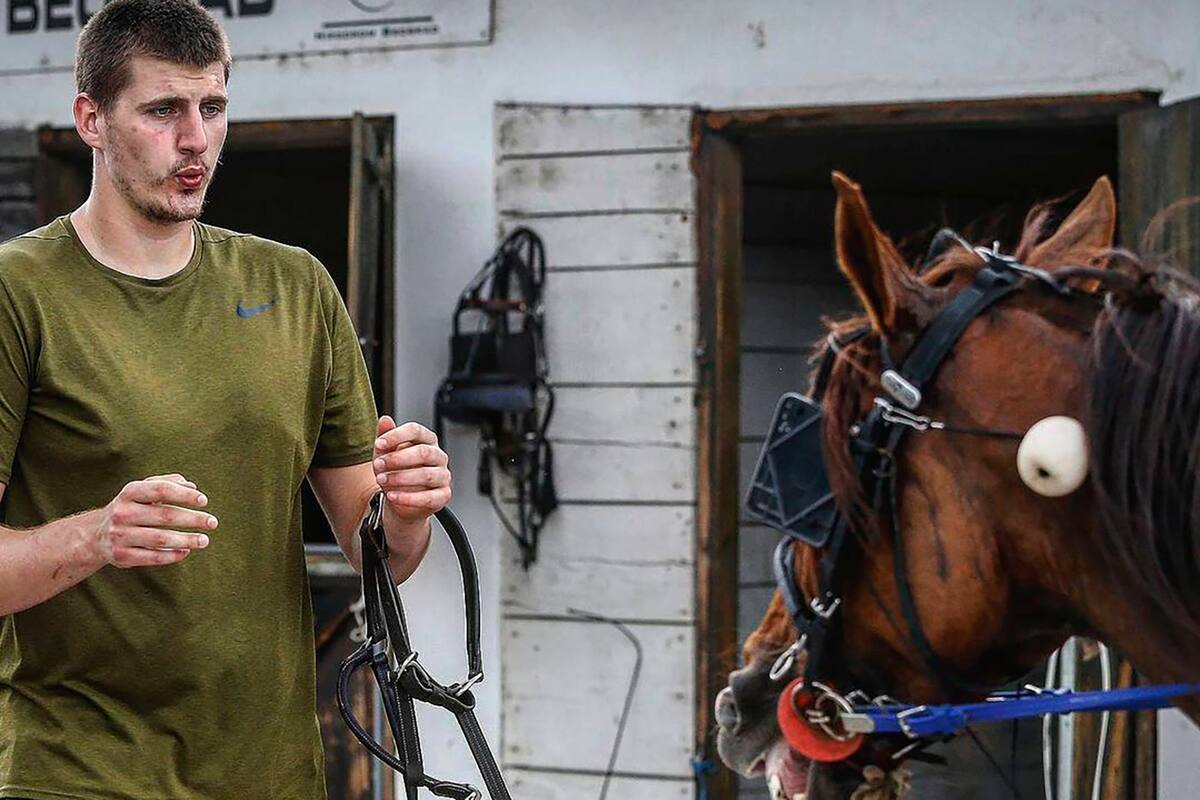 A los 15 años, Nikola Jokic trabajaba en el establo de una familia, y desde entonces le gustan los caballos y hasta tiene uno de carreras; hoy el serbio es el principal candidato a recibir el premio al jugador más valioso de la NBA.