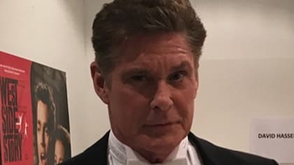 A los 65, David Hasselhoff vuelve a vivir un gran momento profesional