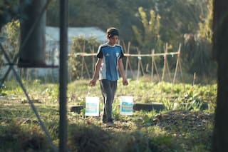 De niño hacía tareas en el campo y ahora combate el trabajo infantil
