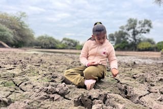 ¿Por qué no se paraliza el país?